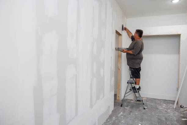 Best Black Mold Removal  in Wright, WY