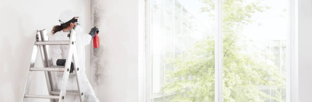 Best Mold Remediation for Healthcare Facilities  in Wright, WY