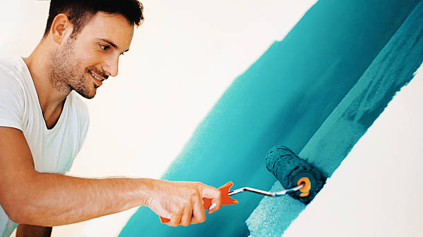 Wright, WY Mold Removal Company